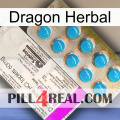 Dragon Herbal new07